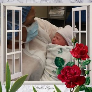 Meet your Posher, Sylvia